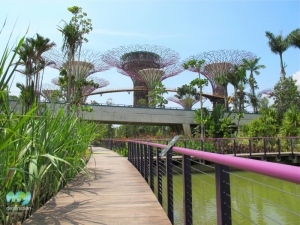 Gardens by the Bay