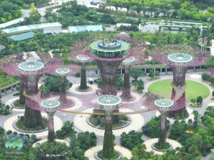 Gardens by the Bay