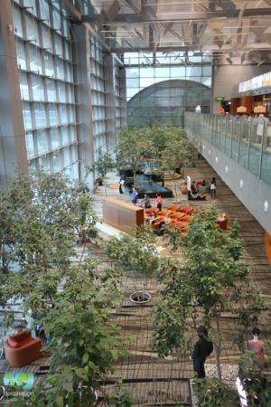 Koi Pond- Changi Airport