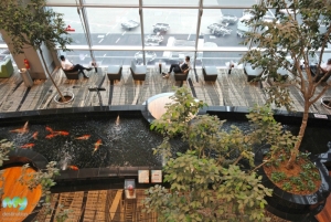 Koi Pond- Changi Airport