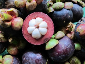 Mangosteen Fruits