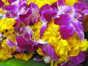 Marigolds and Orchids
