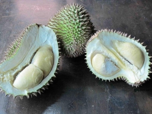 Open Durian Fruits 