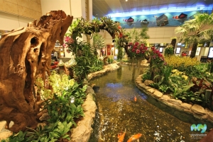 Orchid Garden- Changi Airport