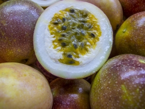 Passion Fruit