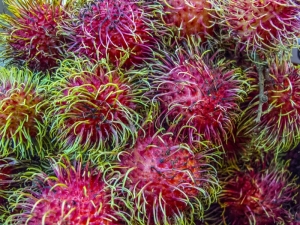 Rambutan