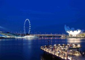 Singapore Flyer and Science Art Museum