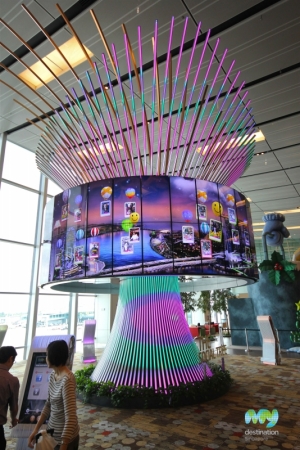 Social Tree- Changi Airport