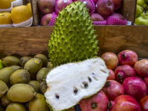 Soursop