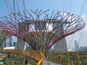 Supertree Marina Bay Sands