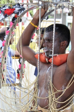 Thaipusam devotee