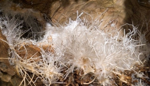 Ochtinská Aragonite Cave