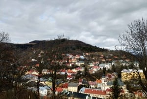 Banska Stiavnica Town: Private Full-Day Tour from Bratislava