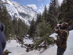 Bear Watching Slovakia