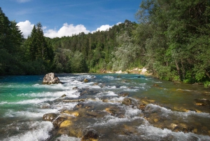 Bled: Europe's Longest Zipline Adventure over Dolinka River