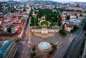 Bratislava: tour a piedi della città di 1,5 ore con biglietto per il castello