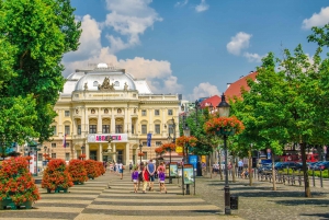 Bratislava: 1-Hour Small Group Walking Tour
