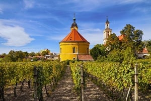 Bratislava: 6-Hour Carpathian Wine Tour and Tasting