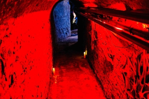 Bratislava: Crime Museum Entry Ticket with Live Show