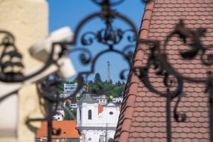 Bratislava: privétour van een hele dag - alles wat je moet zien
