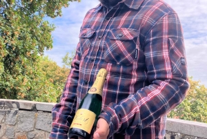 Bratislava: Heldagstur - Alt hvad du behøver at se