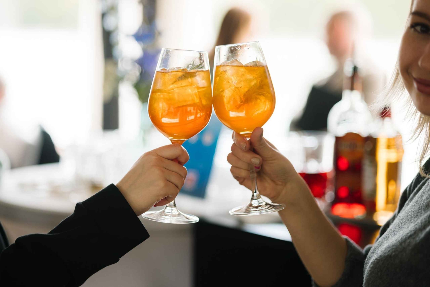 Bratislava - Gabčíkovo Tur- och returresa med båt på Donau