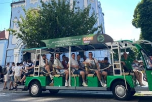 Bratislava : billet pour une visite en bus à arrêts multiples d'une jounée