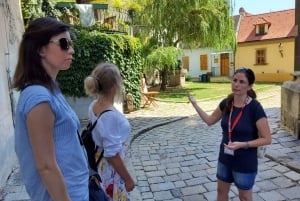 Bratislava: Old Town Walking Discovery Private Tour