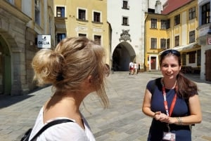 Bratislava: Old Town Walking Discovery Private Tour