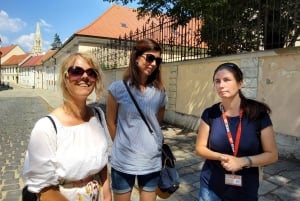 Bratislava: Old Town Walking Discovery Private Tour