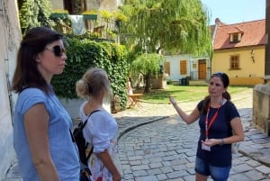 Bratislava: Old Town Walking Discovery Private Tour
