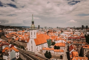 Bratislava: Private City Highlights Tour med bil