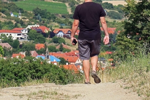 Bratislava: Vineyard Walk and Wine Picnic with Winemaker