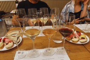 Bratislava: Wine Tasting in city center