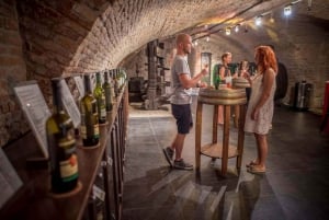 Bratislava: degustação de vinhos com sommelier