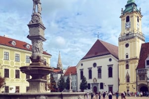 Bratislava with a Local: Private Tour from Vienna