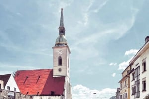 Bratislava with a Local: Private Tour from Vienna