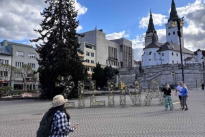 Bratislava: Zilina, Terchova & Vratna Valley Day Trip