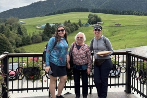 Bratislava: Zilina, Terchova & Vratna Valley Day Trip