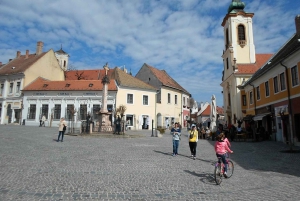 Budapest: tour privado de 1 día por la curva del Danubio