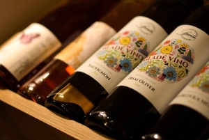 Evening Essential Bratislava Tour & Wine Tasting from Vienna