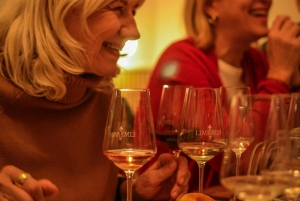 Evening Essential Bratislava Tour & Wine Tasting from Vienna