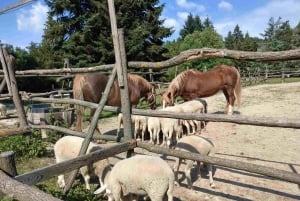 Vanuit Bratislava: rondleiding van een dag langs kastelen, natuur en cultuur