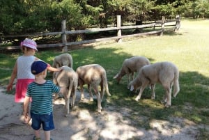 Vanuit Bratislava: rondleiding van een dag langs kastelen, natuur en cultuur