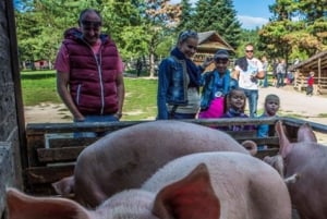 Vanuit Bratislava: rondleiding van een dag langs kastelen, natuur en cultuur