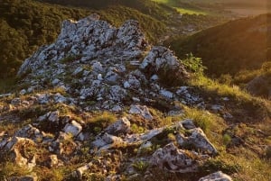 Vanuit Bratislava: rondleiding van een dag langs kastelen, natuur en cultuur