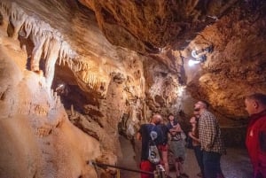 Vanuit Bratislava: rondleiding van een dag langs kastelen, natuur en cultuur