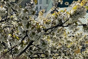 From Bratislava: Day Trip to UNESCO Town of Banská Štiavnica