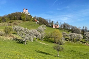 Von Bratislava: Tagestour in die UNESCO-Stadt Banská Štiavnica