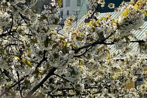 Von Bratislava: Tagestour in die UNESCO-Stadt Banská Štiavnica